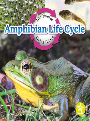 cover image of Amphibian Life Cycle